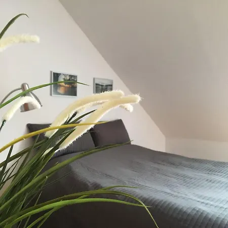 Pod Kasztanami - * Ińsko