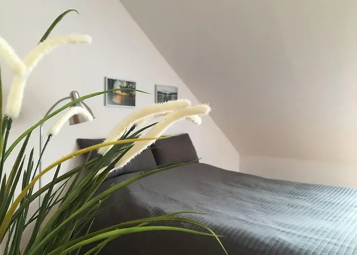 Pod Kasztanami - * Ińsko